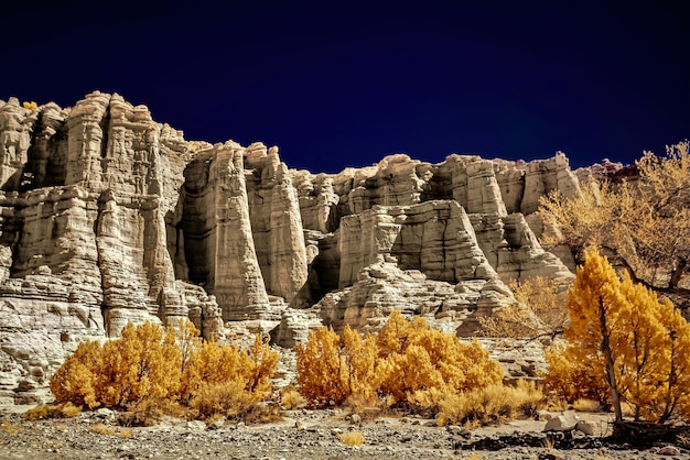 Low angle shot of the trees in front of the beautiful rocky cliffs