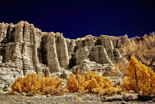 Low angle shot of the trees in front of the beautiful rocky cliffs