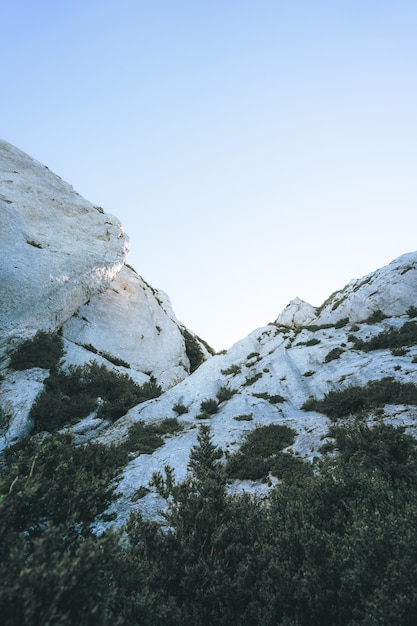 Free photo low angle shot of white cliffs surrounded by dark green tropical trees