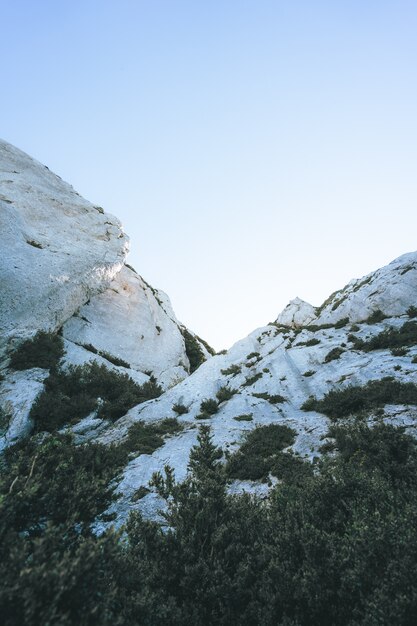 Low angle shot of white cliffs surrounded by dark green tropical trees