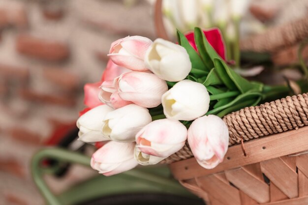 Low angle of spring tulips in basket