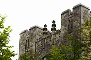 Foto gratuita castello di pietra a basso angolo con alberi