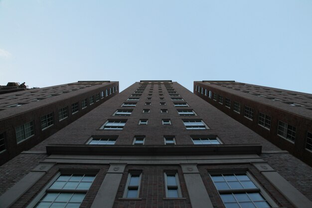 青い空と背の高い建築物の低角度のアップショット