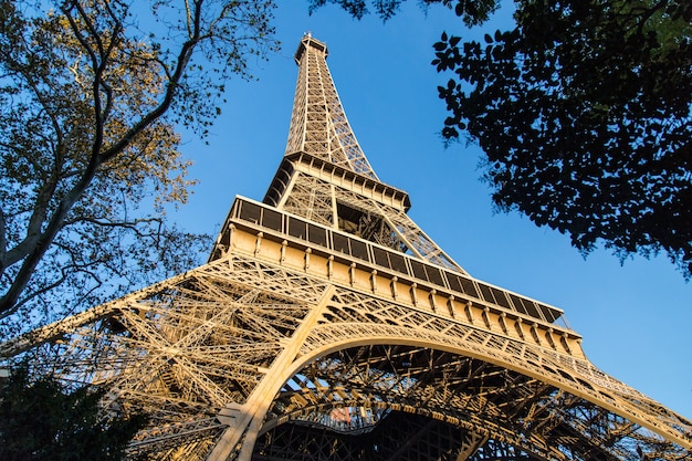 Низкий угол обзора Эйфелевой башни в окружении деревьев под солнечным светом в Париже во Франции