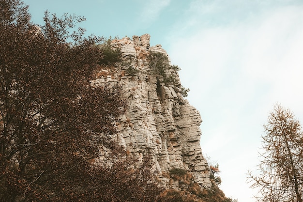 Low angle view of a high rocky mountain surrounded by trees under the blue sky during daylight