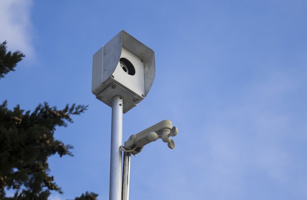 Low angle view of a street camera surrounded by trees under the sunlight and a blue sky