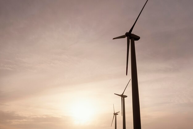 Low angle of wind turbines at sunset generating energy