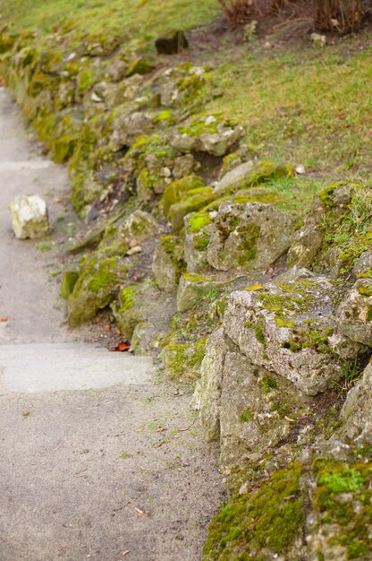 Low retaining stone wall covered with moss