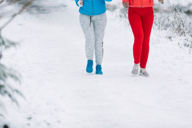 Низкий раздел двух женщин-друзей, идущих по замерзшему пейзажу