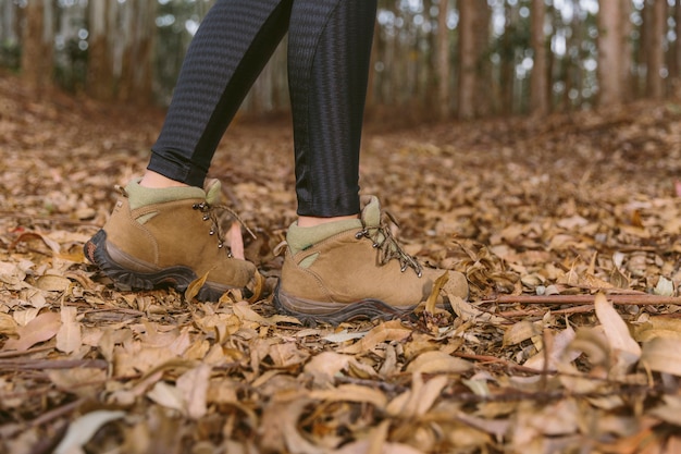 Low section view of woman standing on dry leaves