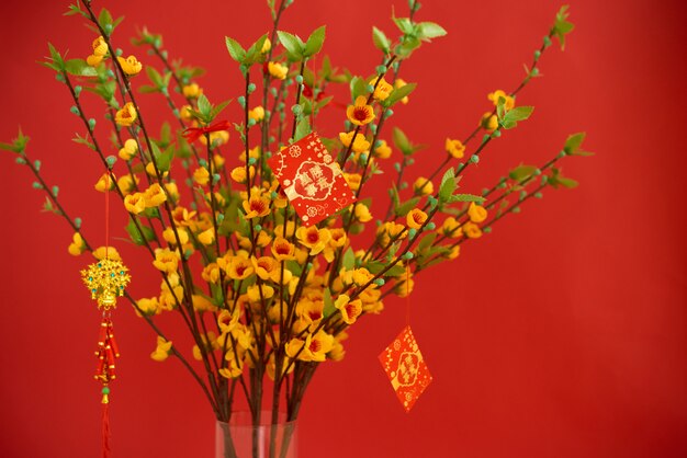 Lucky red envelopes hanging on blooming peach tree with best wishes for upcoming year on cards