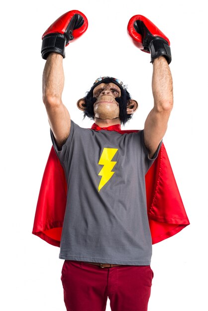 Free photo lucky superhero monkey man with boxing gloves