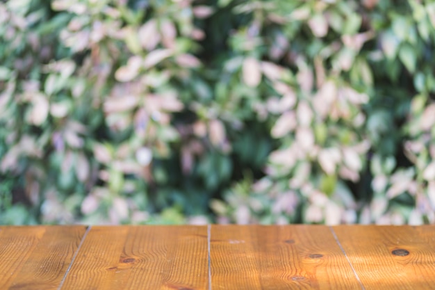 Lumber table near plant wall