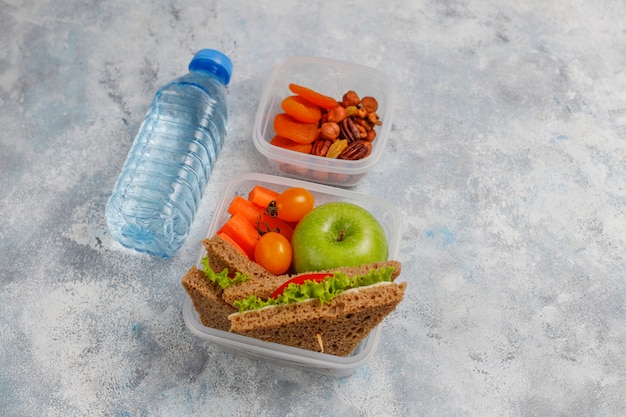 Lunchbox with sandwich, vegetables, fruit on white .