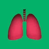 Foto gratuita polmoni di carta