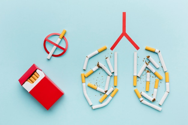 Lungs shape with cigarettes concept