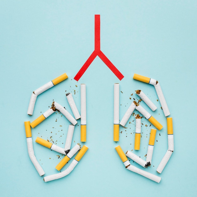 Lungs shape with cigarettes