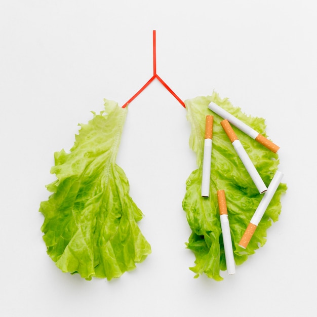 Free photo lungs shape with salad and cigarettes