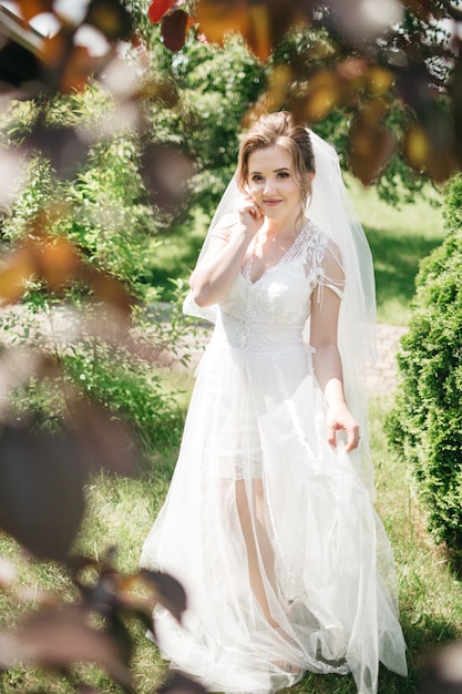 Luxurious bride dresses in sunlight