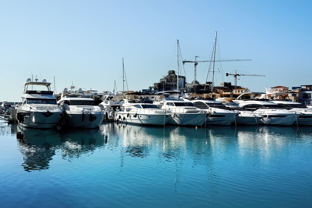 Luxurious Yachts in a port in the evening