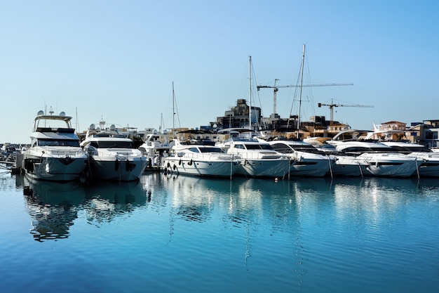 Luxurious Yachts in a port in the evening