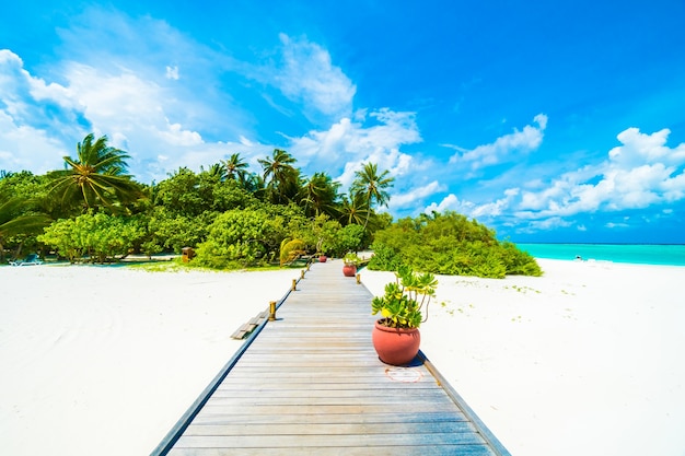 luxury travel maldives exotic blue