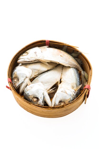 mackerel fish isolated