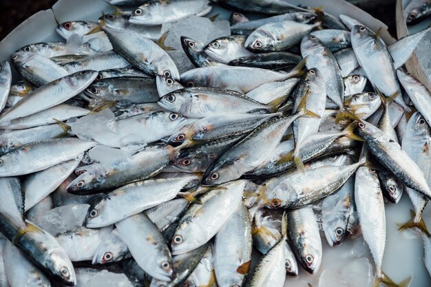 Mackerel in market