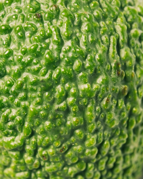 Macro avocado texture