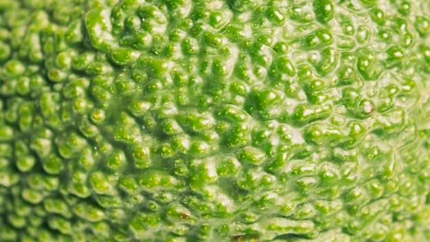 Macro avocado texture