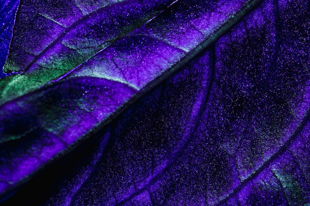 Macro of a blue leaf