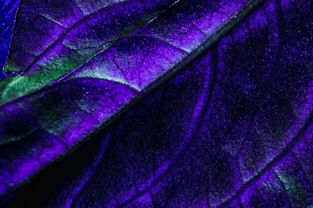 Macro of a blue leaf