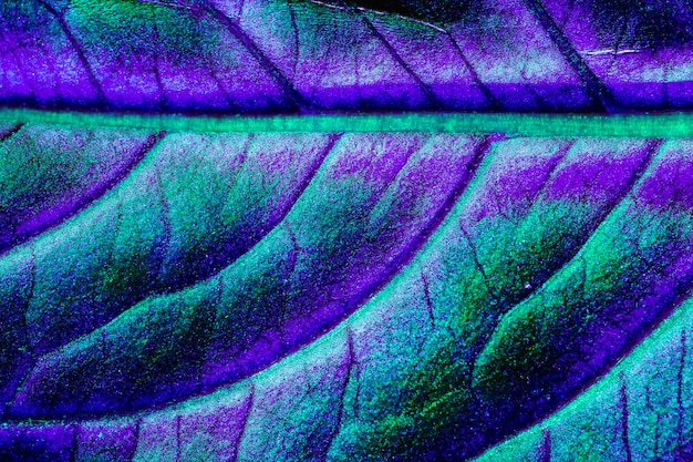 Macro of a blue leaf