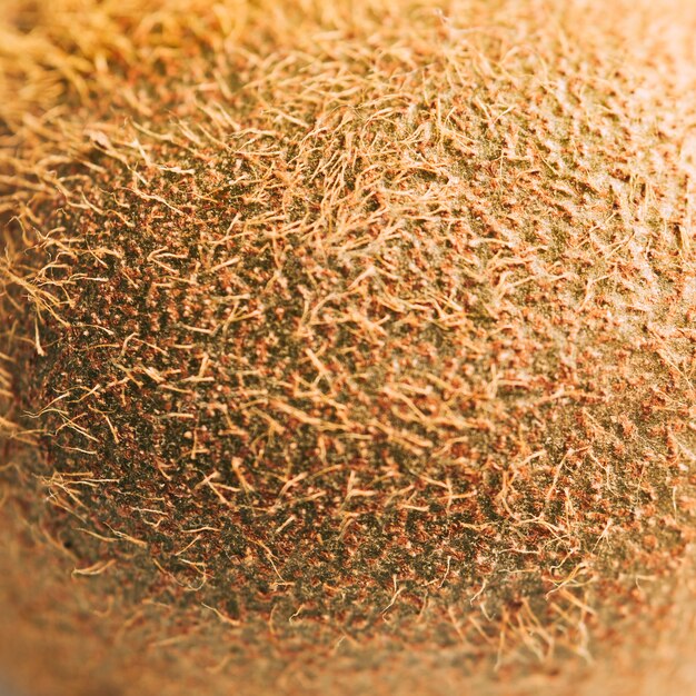 Macro kiwi texture