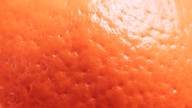 Free Photo macro orange texture