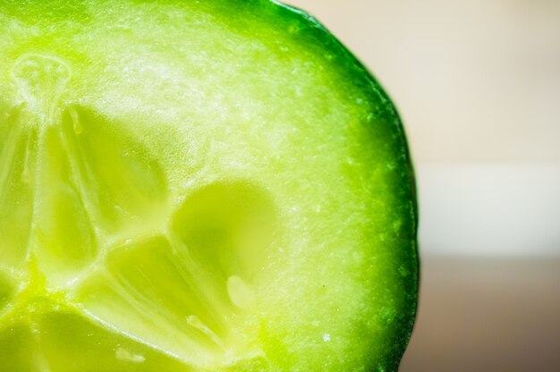 macro photo of slice of a cucumber