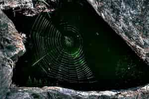 Free photo macro photograph of spider's web