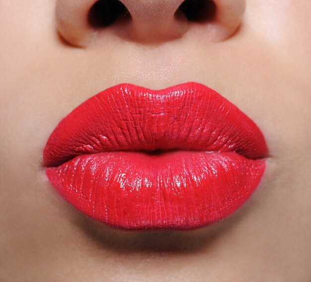 Lips Images Free Vectors Stock Photos Psd