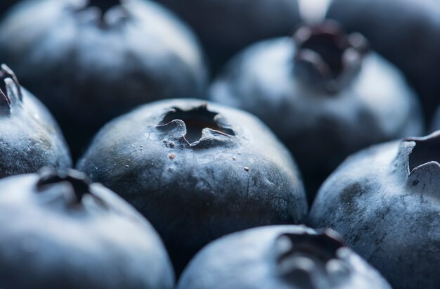 Free photo macro shot of blueberry background