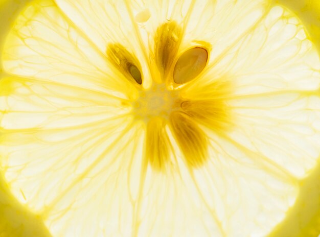 Macro shot of cut lemon