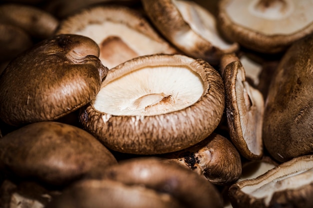 Macro shot of fresh mushrooms