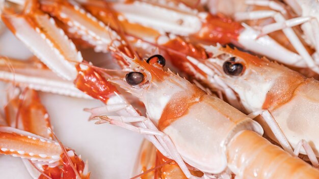 Macro shot of fresh pink shrimps