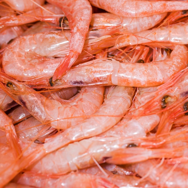 Macro shot of fresh shrimp in store