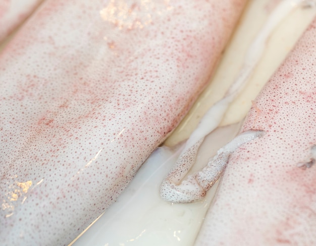 Free photo macro shot of fresh squid