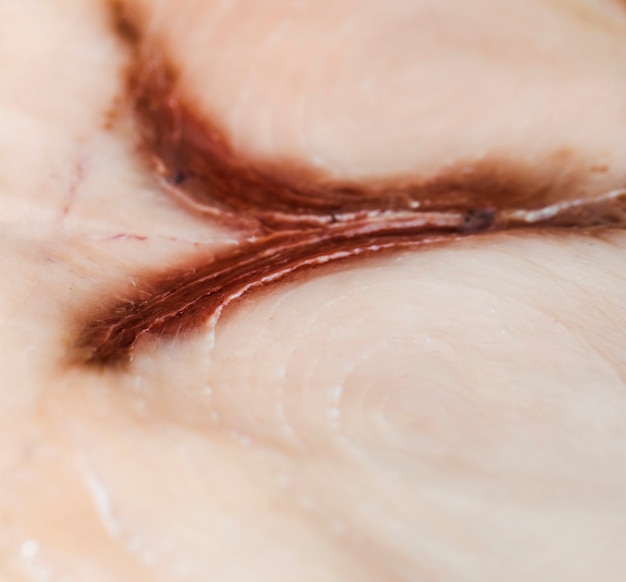 Free photo macro shot of freshly cut fish meat