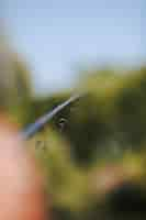 Free photo macro shot of hand holding fishing rod against blurred background