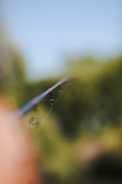 Macro shot of hand holding fishing rod against blurred background