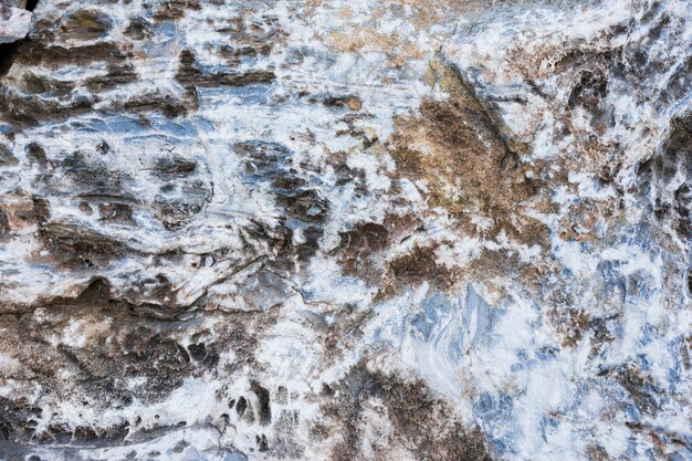 Macro shot of stone background