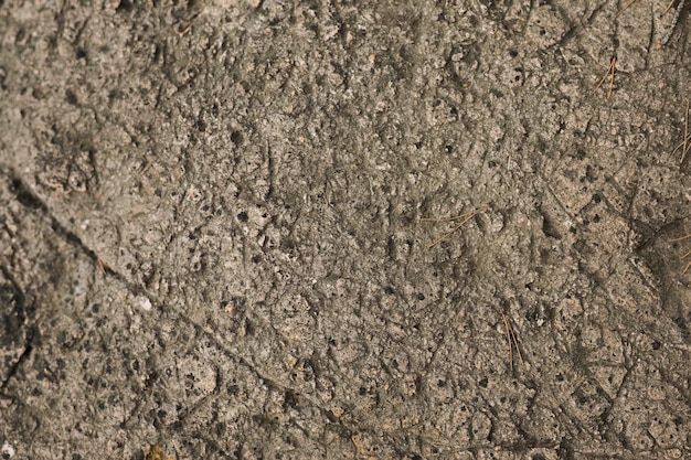 Macro shot of stone background