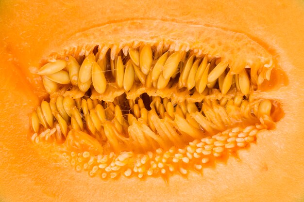 Macro shot of yellow musk melon seeds backdrop